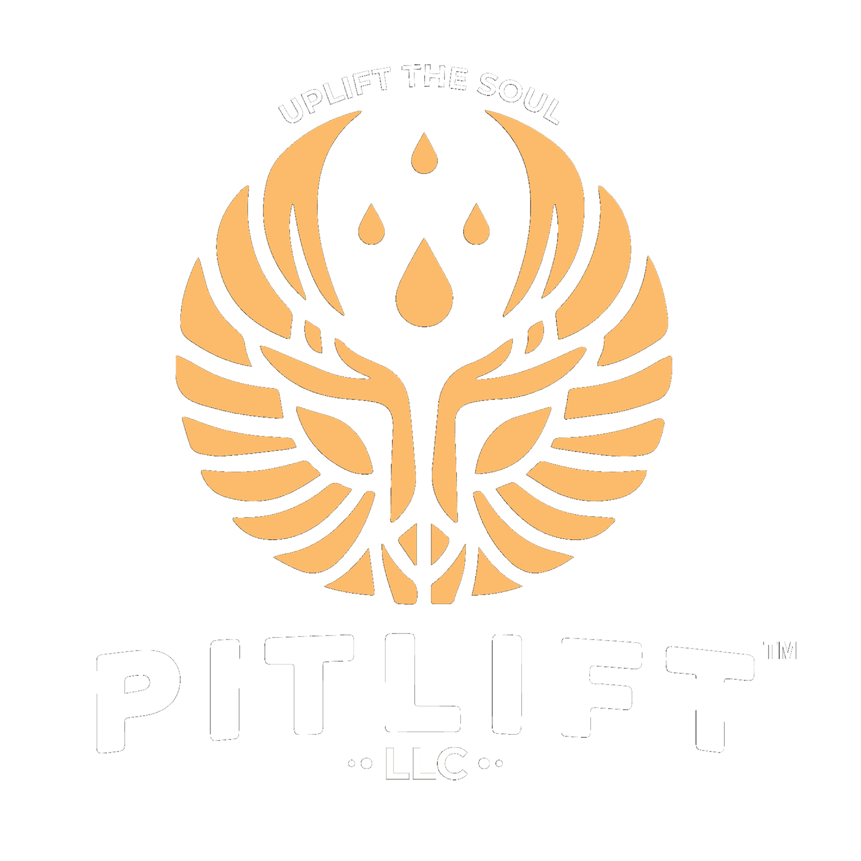 PitLift 